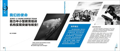广告策划 教育行业类画册