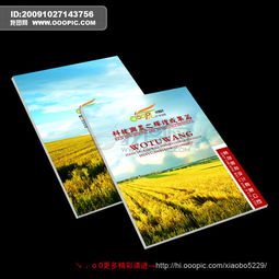 画册设计的多元领域应用与核心要素